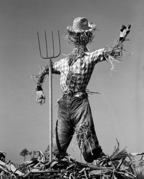 Low angle view of a scarecrow with a pitchfork Poster Print - Item # VARSAL25535837B