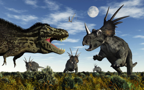 A herd of Styracosaurus dinosaurs confronting a carnivorous Tyrannosaurus Rex during the Cretaceous period Poster Print - Item # VARPSTMAS100640P