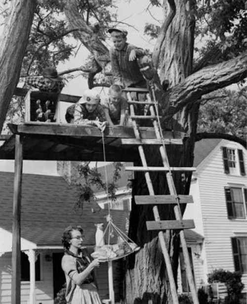 Boys pulling food up to tree house with rope Poster Print - Item # VARSAL2554322