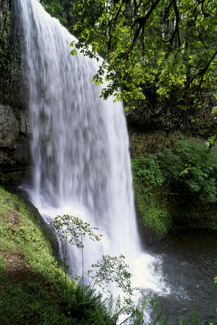 Oregon, Silver Falls State Park, Lower South Falls, B1648 PosterPrint - Item # VARDPI1998324