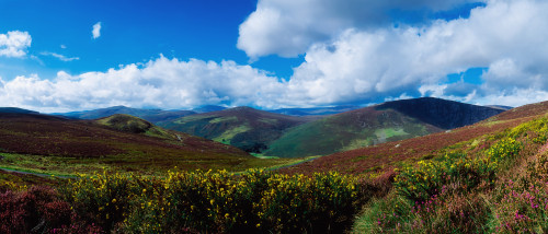 Country Road, Near Luggala Mountain, Co Wicklow, Ireland PosterPrint - Item # VARDPI1813254