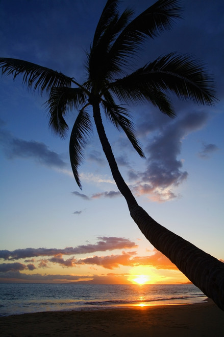 Hawaii, Maui, Kihei, Sunset At Kamaole Beach One. PosterPrint - Item # VARDPI1975949