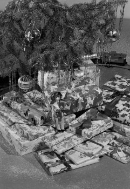 Christmas gifts under Christmas tree Poster Print - Item # VARSAL255418471