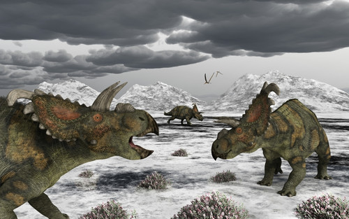 Albertaceratops during their winter migration Poster Print