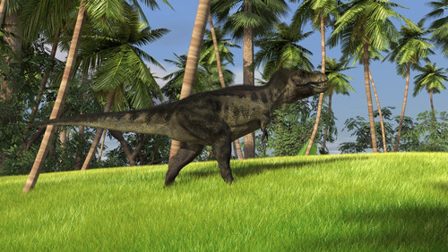 Tyrannosaurus Rex in a grassy field Poster Print - Item # VARPSTKVA600658P