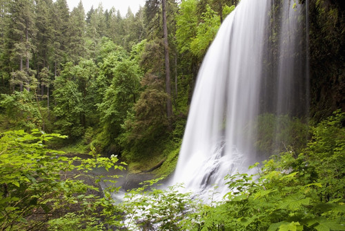 North Middle Falls In Silver Falls State Park; Oregon, Usa PosterPrint - Item # VARDPI1877096
