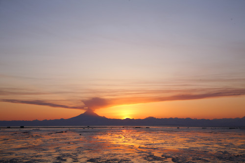 Ash Cloud Rises From Mt. Redoubt At Sunset During Low Tide Near Ninilchik, Alaska PosterPrint - Item # VARDPI2141365