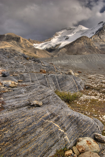 Mount Athabasca; Jasper National Park, Alberta, Canada PosterPrint - Item # VARDPI1837566