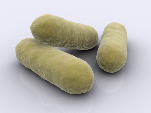 Conceptual image of bacteria Poster Print - Item # VARPSTSTK700860H