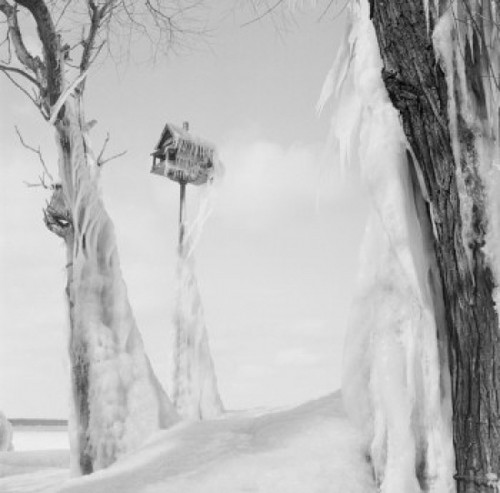 Frozen birdhouse Poster Print - Item # VARSAL255423962 Frozen birdhouse Poster Print - Item # VARSAL255423962