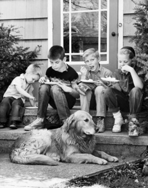 Four boys eating ice cream and a dog sitting in front of them Poster Print - Item # VARSAL255866