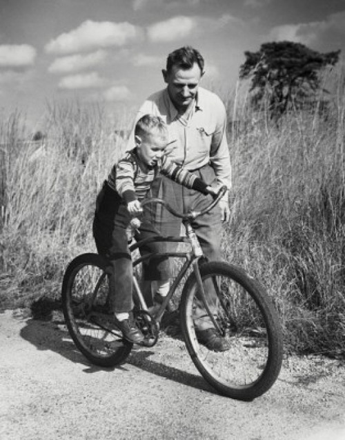 Father teaching his son to ride a bicycle Poster Print - Item # VARSAL25519678