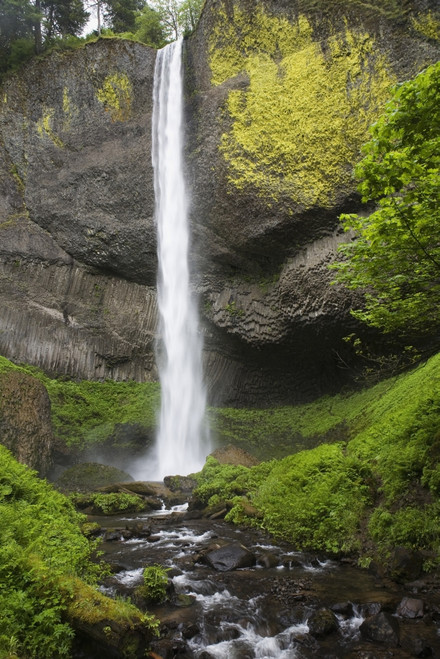 Narrow Waterfall With Moss Covered Cliffs; Oregon, United States of America PosterPrint - Item # VARDPI1965182