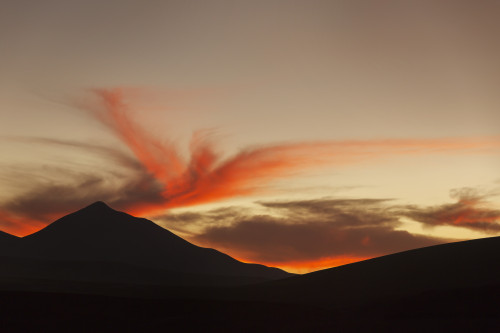 The surreal landscape of Bolivia's Altiplano region near Uyuni lights up in a beautiful sunset; Bolivia PosterPrint - Item # VARDPI12281380