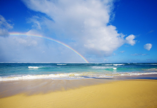 USA, Hawaii, Rainbow at Baldwin Beach; Maui PosterPrint - Item # VARDPI1982351