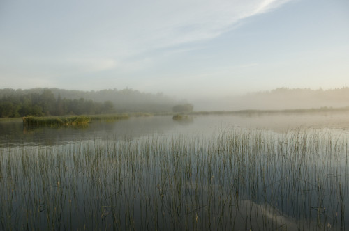 Lake Of The Woods, Ontario, Canada PosterPrint - Item # VARDPI1836684