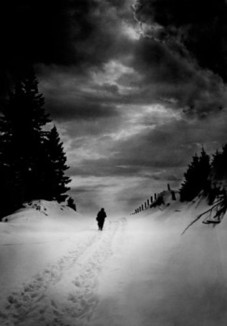 Lone person in winter landscape Poster Print - Item # VARSAL255424884