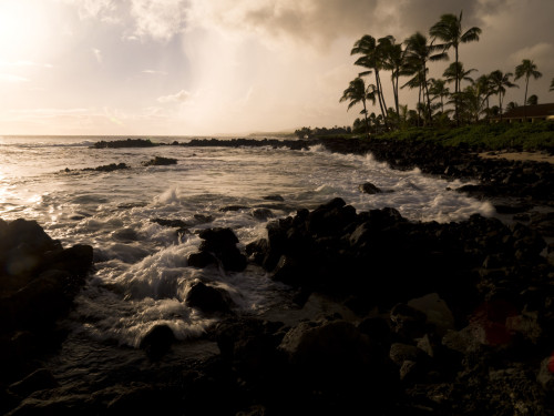 Rocky Coastline, Poipu, Kauai, Hawaii PosterPrint - Item # VARDPI1824461