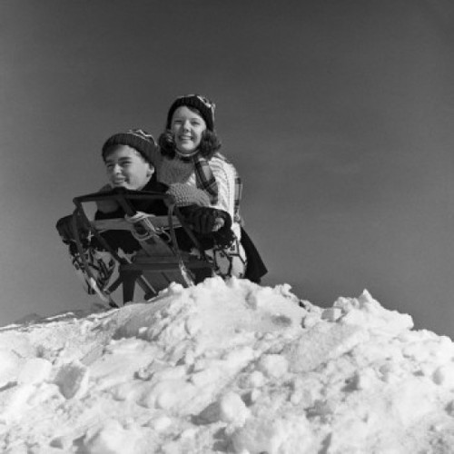Children on sledge Poster Print