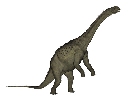 Uberabatitan dinosaur isolated on white background Poster Print - Item # VARPSTEDV600323P