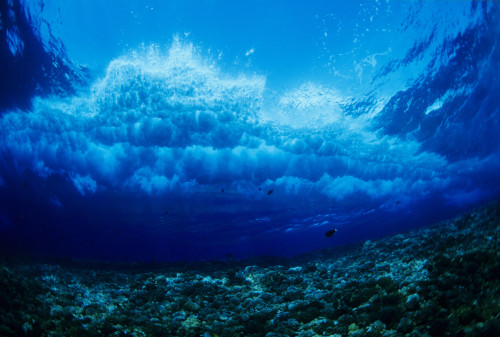 Hawaii, Underwater View Of Wave Breaking Over Coral Reef. PosterPrint - Item # VARDPI1975349