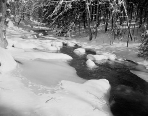 Brook in winter Poster Print - Item # VARSAL255423184