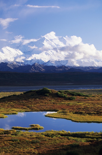 Alaska, Denali National Park, Denali, Tundra Pond, Mountains In Background. PosterPrint - Item # VARDPI1976853