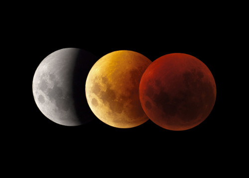 Composite image of lunar eclipse, Victoria, Australia Poster Print - Item # VARPSTPHA100049S