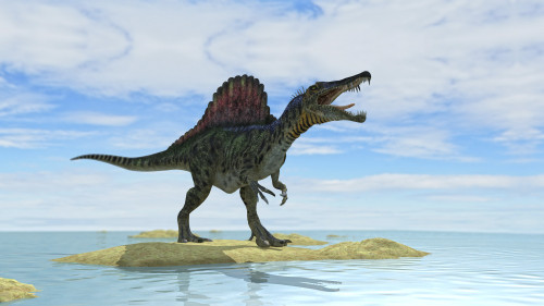Spinosaurus hunting in prehistoric waters Poster Print - Item # VARPSTKVA600561P