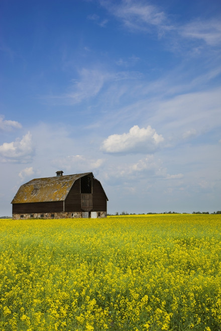 Alberta, Canada; An Old Barn In A Field PosterPrint - Item # VARDPI1874702