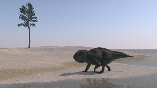 Udanoceratops walking along the water's edge Poster Print - Item # VARPSTKVA600427P