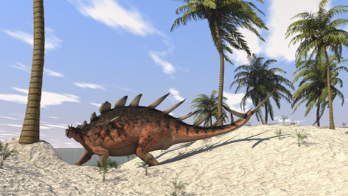 Kentrosaurus walking in a tropical environment Poster Print - Item # VARPSTKVA600166P