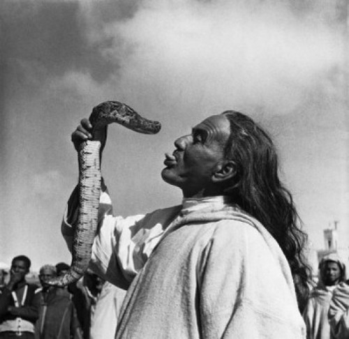Snake charmer sticking his tongue out and holding a snake  Marrakesh  Morocco Poster Print - Item # VARSAL990118135