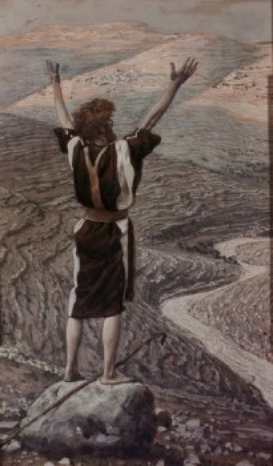 The Voice in the Desert  James Tissot  Poster Print - Item # VARSAL9999944