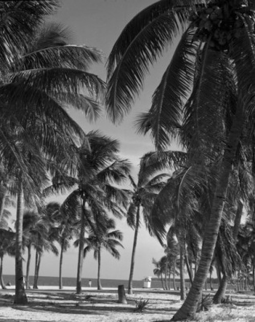 USA  Florida  near Miami  Key Biscane Poster Print - Item # VARSAL255418540