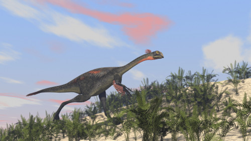 Gigantoraptor running up a hill Poster Print - Item # VARPSTKVA600139P