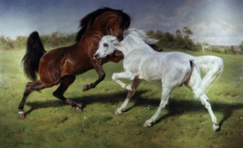 The Duel  Rosa Bonheur Poster Print