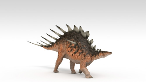 Kentrosaurus dinosaur, white background Poster Print - Item # VARPSTKVA600746P