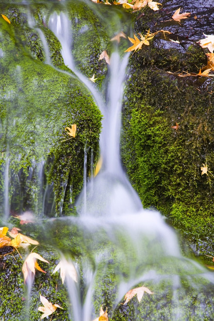 Crystal Springs Waterfall At Oregon, United States Of America PosterPrint - Item # VARDPI1830299