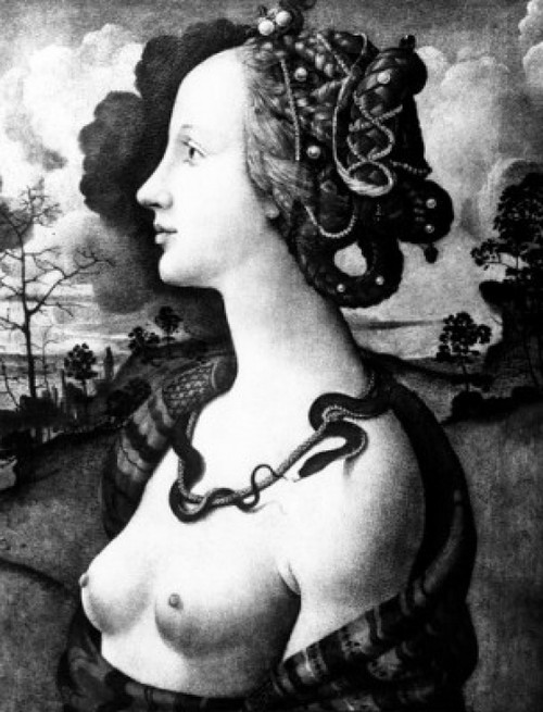Portrait of Simonetta Vespucci by Piero di Cosimo  oil on panel  circa 1480  1462 ? 1521  France  Chantilly  Musee Conde Poster Print - Item # VARSAL995320