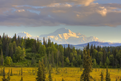 Scenic View Of Mount Mckinley From South Of Denali National Park Southcentral Alaska, Summer, Hdr Image PosterPrint - Item # VARDPI2100230