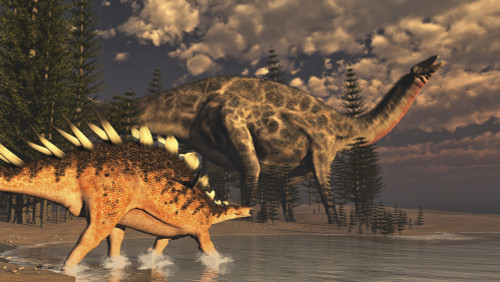 Dicraeosaurus and Kentrosaurus dinosaur walking peacefully next to calamite trees by sunset Poster Print - Item # VARPSTEDV600297P