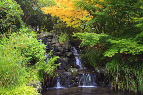 Portland, Oregon, United States Of America; Waterfalls In Crystal Springs Rhododendron Garden PosterPrint - Item # VARDPI1876680