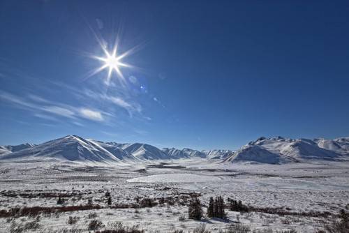 Afternoon Sun Along The Dempster Highway, Yukon. PosterPrint - Item # VARDPI2036319