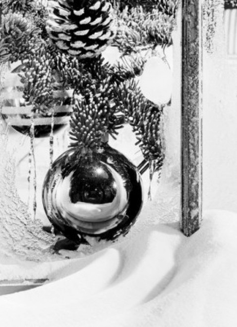 Close up of Christmas tree in snow Poster Print - Item # VARSAL255421231