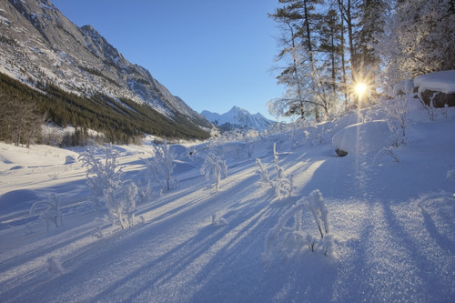 Sunlight Breaking Through Trees On Snow-Covered Medicine Lake, Jasper National Park, Alberta PosterPrint - Item # VARDPI2032641