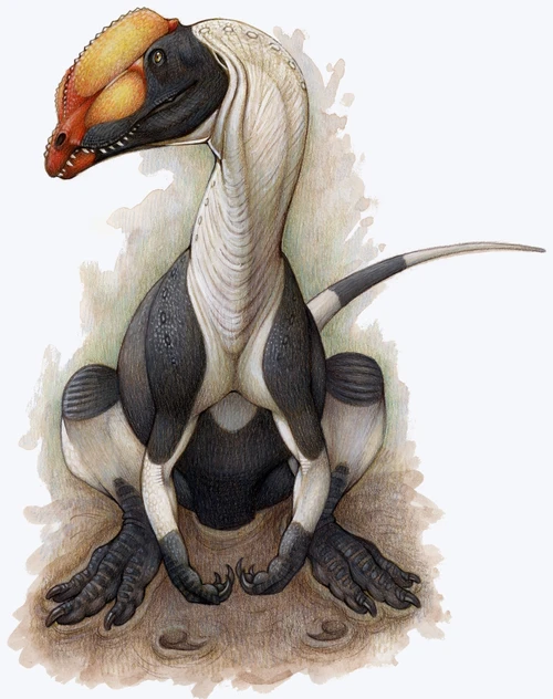 A Dilophosaurus dinosaur of the Jurassic Period, leaves a print of his posterior for posterity Poster Print - Item # VARPSTHKY100017P
