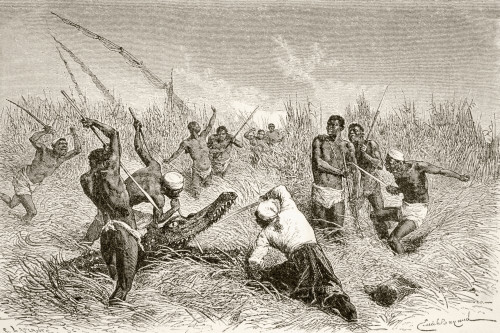 Farmers Kill A Crocodile On The Banks Of The Nile River In The Sudan. From Afrika, Dets Opdagelse, Erobring Og Kolonisation, Published In Copenhagen, 1901. PosterPrint - Item # VARDPI1872877