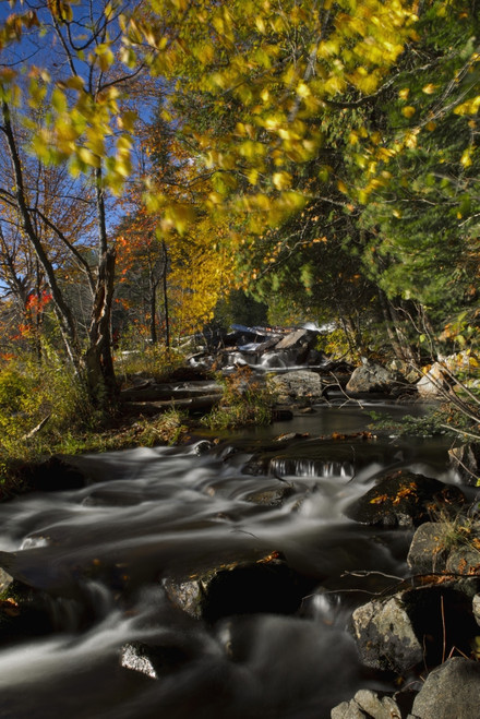 Alqonquin Provincial Park In Autumn, Ontario, Canada PosterPrint - Item # VARDPI2038274