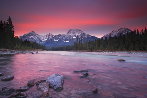 Rocky Mountains, Athabasca River, Jasper National Park, Jasper, Alberta, Canada PosterPrint - Item # VARDPI1779402